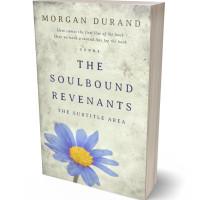 Tablet view of Periglacial Blue #32055 - Premade Poetry Book Cover