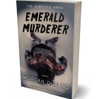 3D view of Ship Gray #32069 - Premade Mystery & Thriller & Suspense Book Cover