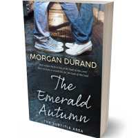 Tablet view of Outer Space #32100 - Premade Romance Book Cover | BookCoverZone