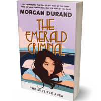 Tablet view of Thunder #32118 - Premade Travel Book Cover