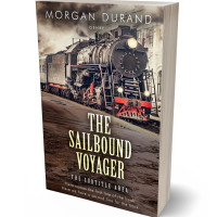 Tablet view of Woody Brown #32149 - Premade Travel Book Cover