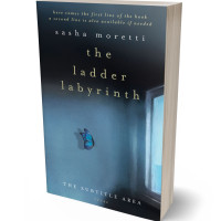 Tablet view of Ebony Clay #32281 - Premade Literary Fiction Book Cover