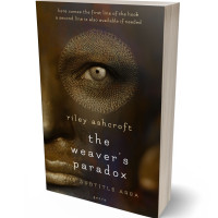 3D view of Mikado #32291 - Premade Abstract Book Cover