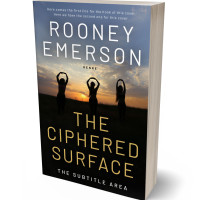 Tablet view of Sorrell Brown #32369 - Premade Health & Mind & Body Book Cover