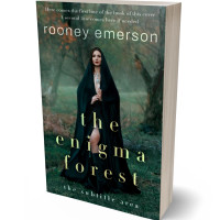 3D view of Outer Space #32404 - Premade Fantasy Book Cover