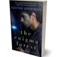 Tablet view of Cinder #32408 - Premade Fantasy Book Cover