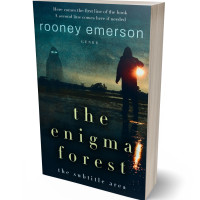 Tablet view of Firefly #32409 - Premade Horror Book Cover