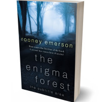 Tablet view of Spindle #32414 - Premade Mystery & Thriller & Suspense Book Cover