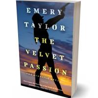 3D view of Fiord #32443 - Premade Western Book Cover