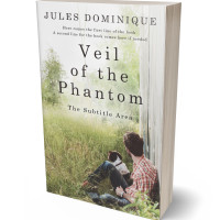 3D view of Premade Literary Fiction Book Cover - Moon Mist