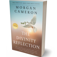 Tablet view of Ash #32728 - Premade Religion & Spirituality Book Cover