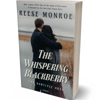 3D view of Delta #32868 - Premade Romance Book Cover