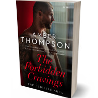 3D view of Night Rider #32887 - Premade Erotica Book Cover