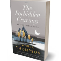 Tablet view of Nobel #32894 - Premade Abstract Book Cover