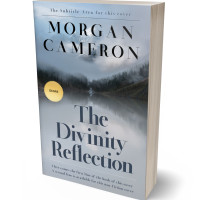 3D view of Tower Gray #32959 - Premade Travel Book Cover