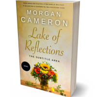 Tablet view of Sorrell Brown #32962 - Premade Abstract Book Cover