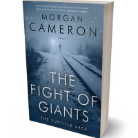 3D view of Fiord #33039 - Premade Mystery & Thriller & Suspense Book Cover | BookCoverZone