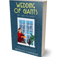 Tablet view of San Juan #33057 - Premade Literary Fiction Book Cover