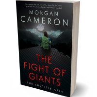 3D view of Premade Teen & Young Adult Book Cover - Unknown