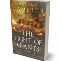 3D view of Judge Gray #33072 - Premade Travel Book Cover