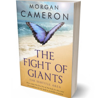 3D view of Foggy Gray #33074 - Premade Health & Mind & Body Book Cover