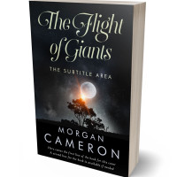 Tablet view of Woodsmoke #33077 - Premade Surreal Book Cover