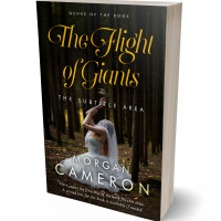 Tablet view of Eternity #33080 - Premade Paranormal & Urban Book Cover