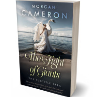 3D view of Outer Space #33091 - Premade Fantasy Book Cover