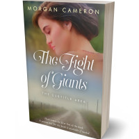 3D view of Premade Romance Book Cover - Stonewall