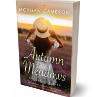 Tablet view of Rock #33121 - Premade Romance Book Cover