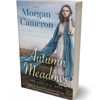 Tablet view of Silver Sand #33125 - Premade Historical Book Cover