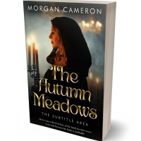 3D view of Premade Fantasy Book Cover - Indian Khaki