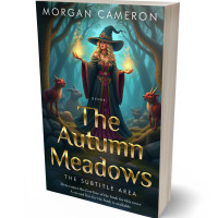 Tablet view of Outer Space #33137 - Premade Fantasy Book Cover