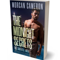 Tablet view of Soft Amber #33171 - Premade Erotica Book Cover