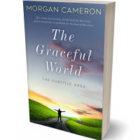 Tablet view of Comet #33216 - Premade Self-Improvement & Self-Help Book Cover