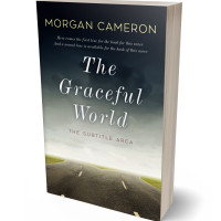 Tablet view of Moon Mist #33217 - Premade Travel Book Cover