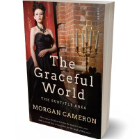 Tablet view of Antique Brass #33227 - Premade Mystery & Thriller & Suspense Book Cover