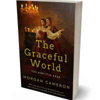 Tablet view of Graphite #33229 - Premade Historical Book Cover