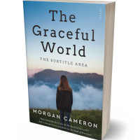 Tablet view of Ship Cove #33243 - Premade Teen & Young Adult Book Cover