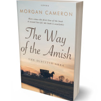 Tablet view of Wafer #33275 - Premade Travel Book Cover