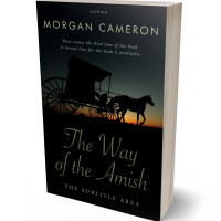 Tablet view of Woodsmoke #33276 - Premade Historical Book Cover