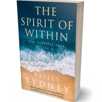 3D view of Teal Blue #33317 - Premade Travel Book Cover