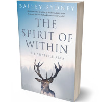 Tablet view of Geyser #33318 - Premade Surreal Book Cover