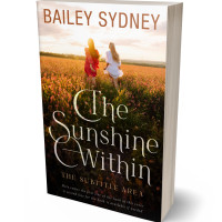 Tablet view of El Paso #33333 - Premade Teen & Young Adult Book Cover