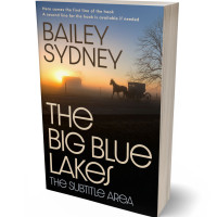 Tablet view of Cameo #33426 - Premade Historical Book Cover