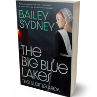 3D view of Premade Mystery & Thriller & Suspense Book Cover - Woodsmoke