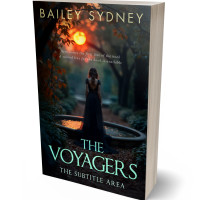 3D view of Premade Fantasy Book Cover - Woodsmoke