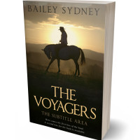 Tablet view of Brandy #33513 - Premade Action & Adventure Book Cover