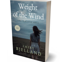 3D view of Nevada #33558 - Premade Literary Fiction Book Cover