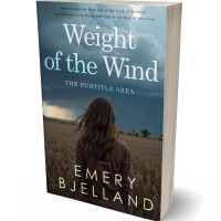 Tablet view of Cape Cod #33561 - Premade Literary Fiction Book Cover